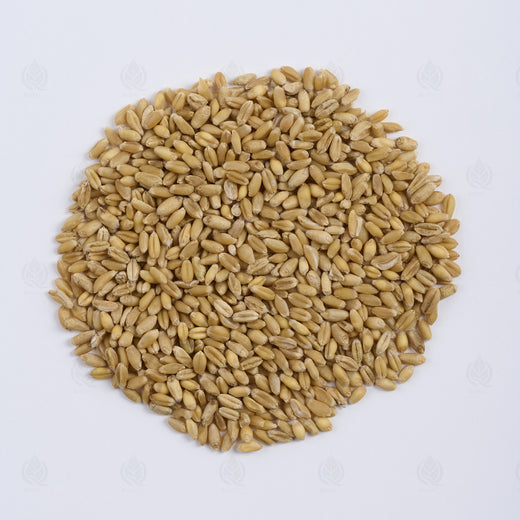 Grains de Blé légers (flottants) (Fu Xiao Mai), vue de dessus