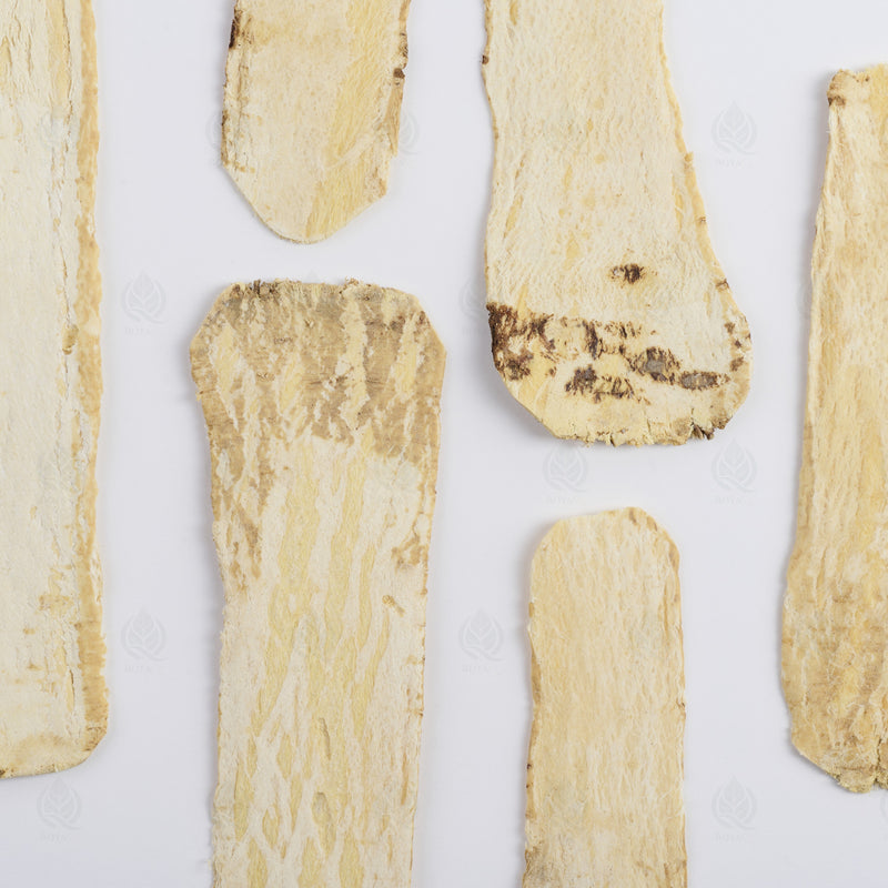 Astragale (Huang Qi), grosses tranches, 200 g, vue de dessus