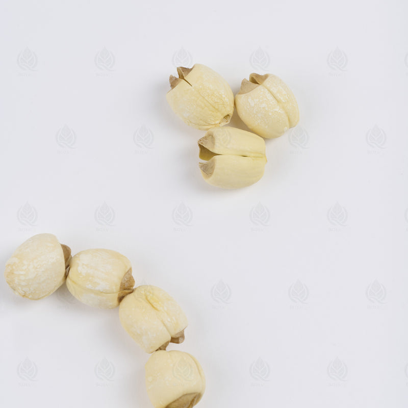 Graines de Lotus (Lian Zi) – vue de dessus