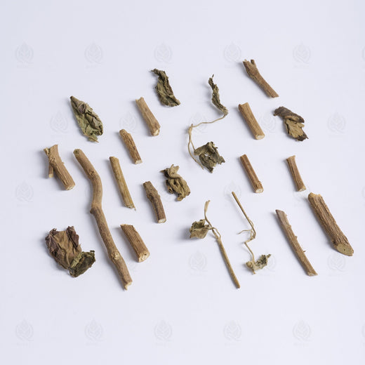 Agastache - 藿香 (Huo Xiang)