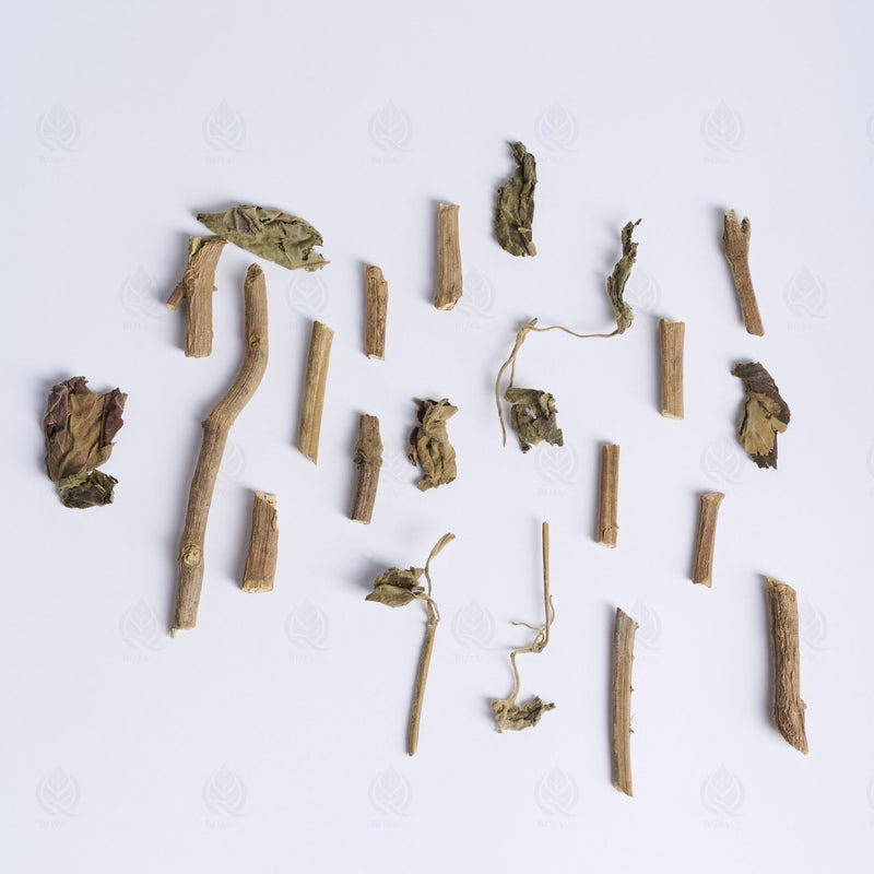 Agastache - 藿香 (Huo Xiang)