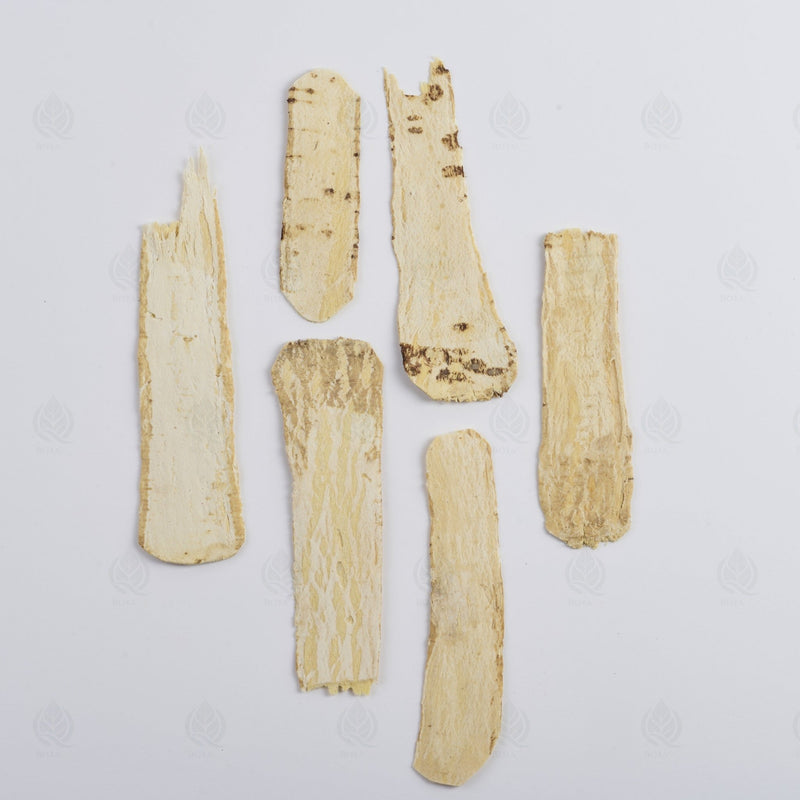 Astragale (grosses tranches) - 黄芪 (Huang Qi)