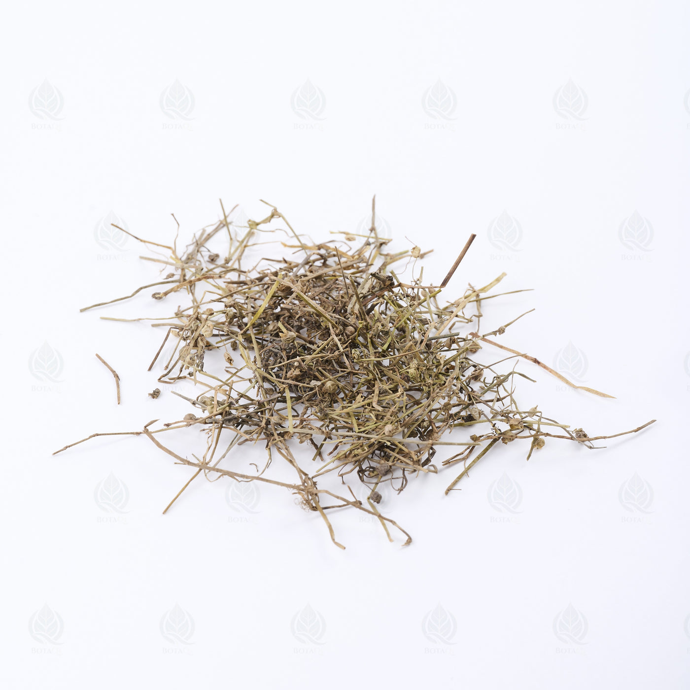 Herbe de Hédyote (Bai Hua She She Cao) – vue de côté