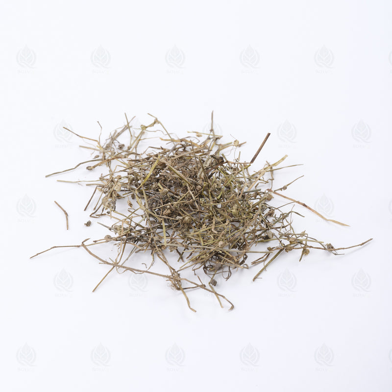 Herbe de Hédyote (Bai Hua She She Cao) – vue de côté
