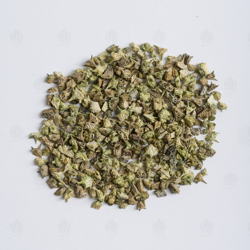 Fruits de Tribule terrestre (Bai Ji Li) – vue de dessus