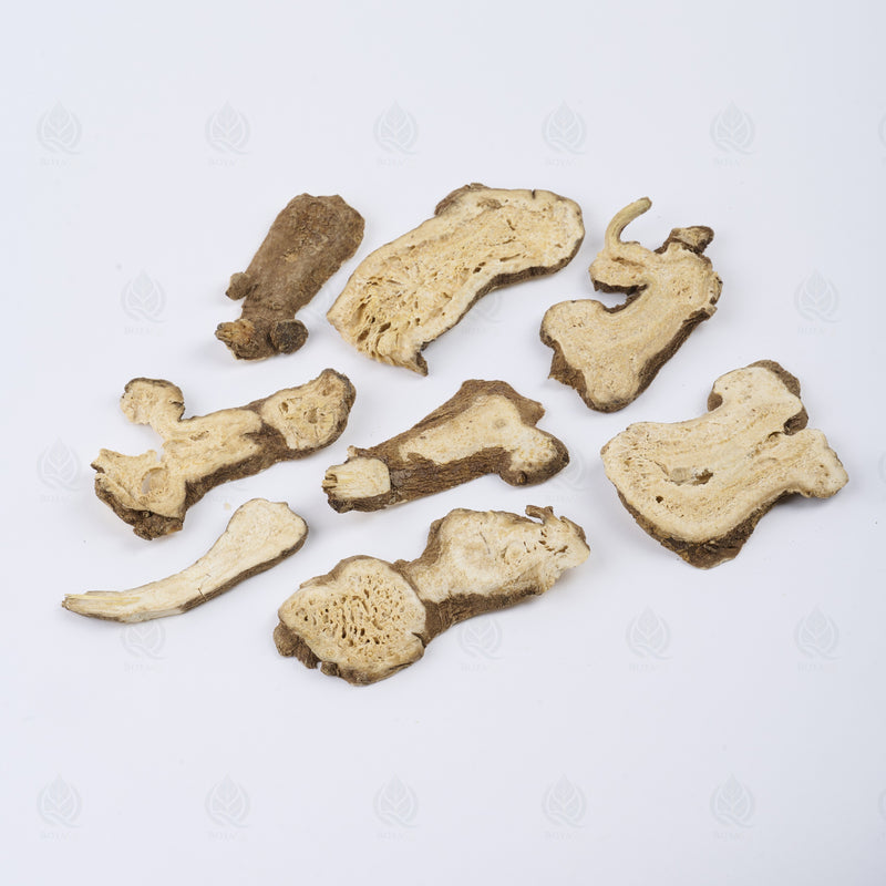 Atractylode (rhizome blanc) (Bai Zhu) – vue de côté