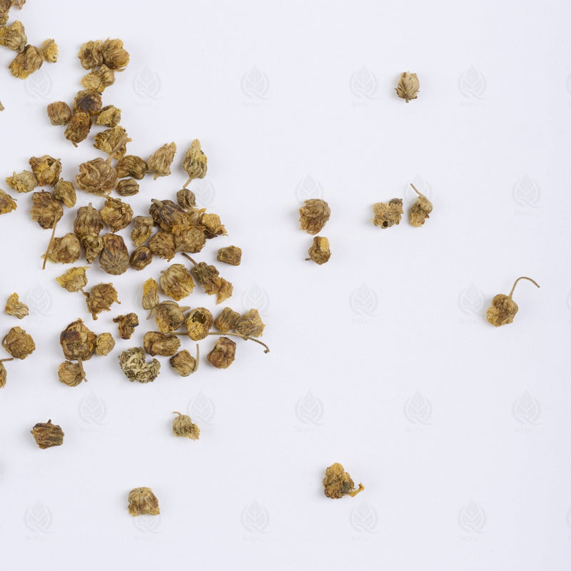 Boutons de Chrysanthème sauvage - 野菊花 (Ye Ju Hua)