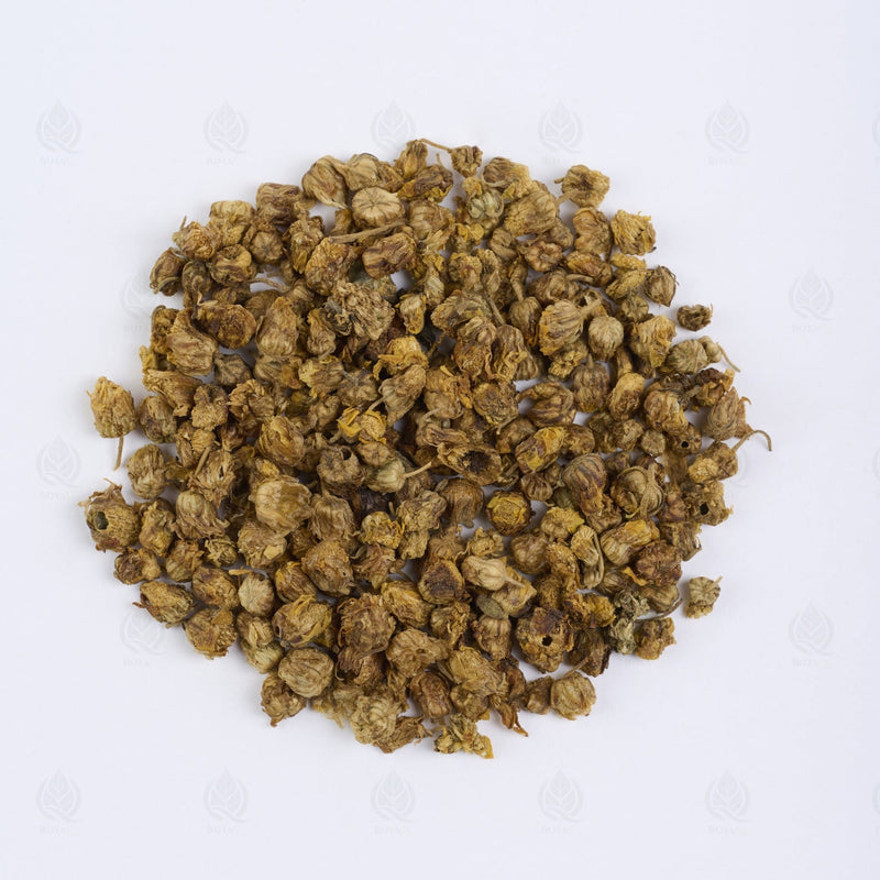 Boutons de Chrysanthème sauvage - 野菊花 (Ye Ju Hua)