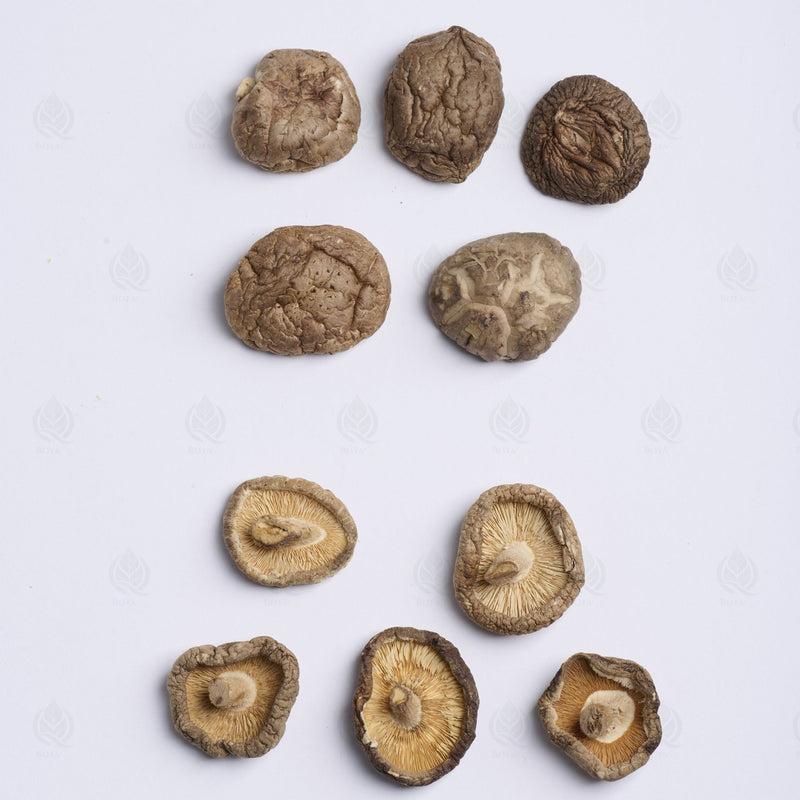 Champignon Shiitake - 香菇 (Xiang Gu)