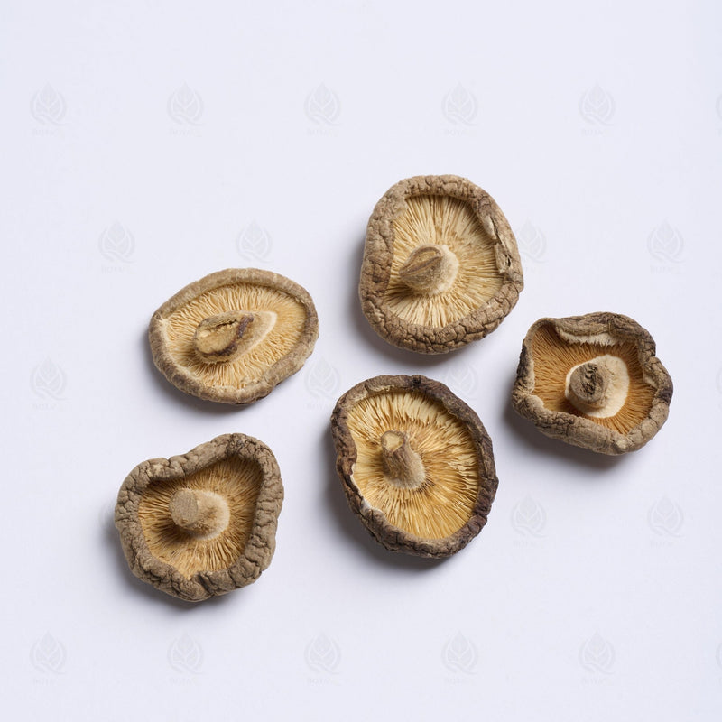 Champignon Shiitake - 香菇 (Xiang Gu)