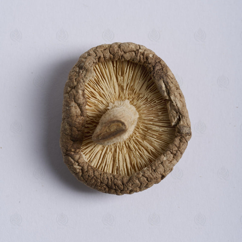 Champignon Shiitake - 香菇 (Xiang Gu)