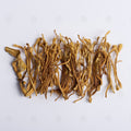 Fleur de Cordyceps militaris (Chong Cao Hua), vue de dessus