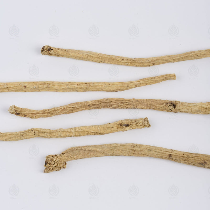 Codonopsis - 党参 (Dang Shen)