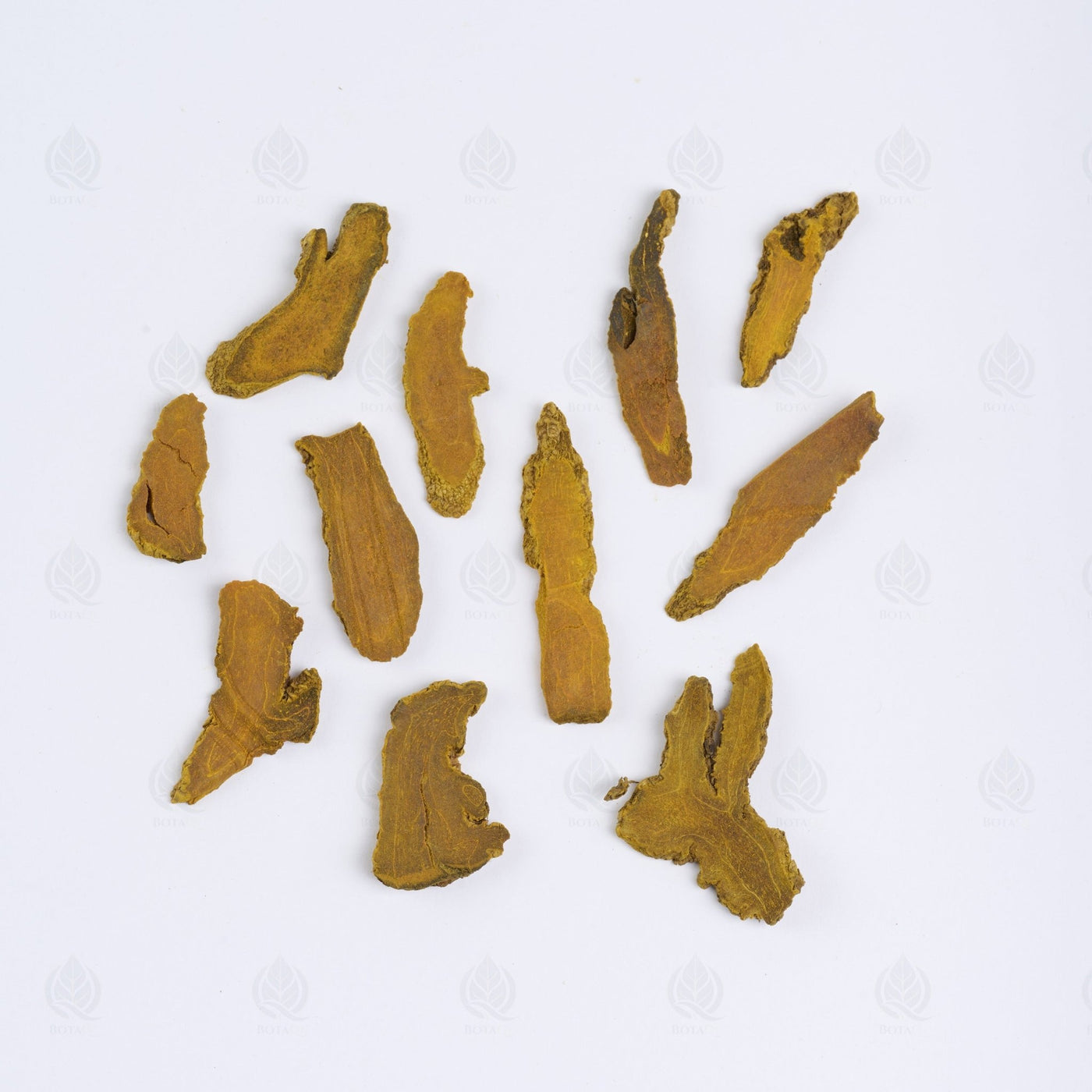 Curcuma - 姜黄 (Jiang Huang)