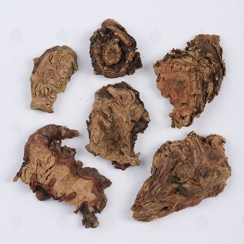 Rhodiola du Tibet (Hong Jing Tian) – vue de dessus