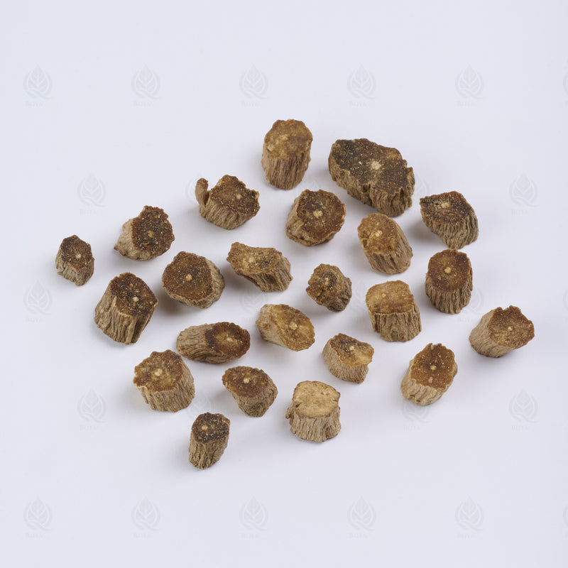 Racine d’Achyranthes (Huai Niu Xi) (Huai Niu Xi) – vue de dessus