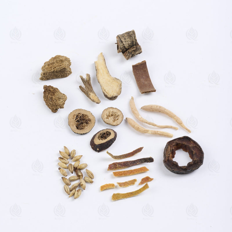 Jian Pi Cha - 健脾茶 (Jian Pi Cha)
