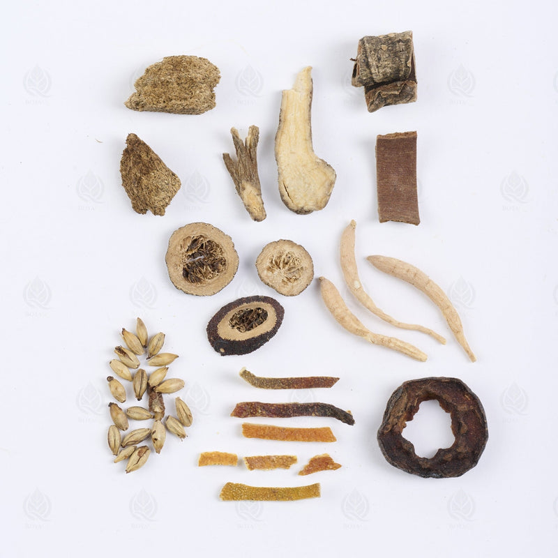 Jian Pi Cha - 健脾茶 (Jian Pi Cha)