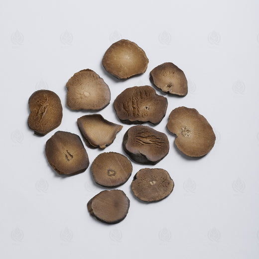 Écorce de Mandarine rouge (couche externe) (Ju Hong), vue de côté