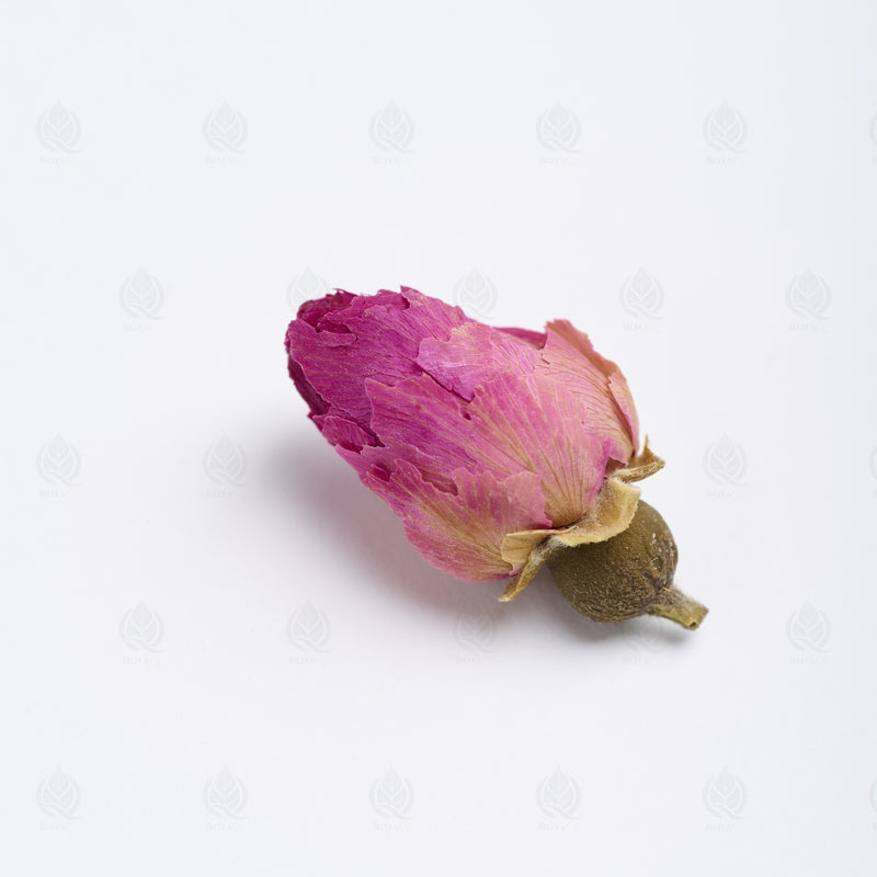 Boutons de Rose (Mei Gui Hua) – vue de dessus