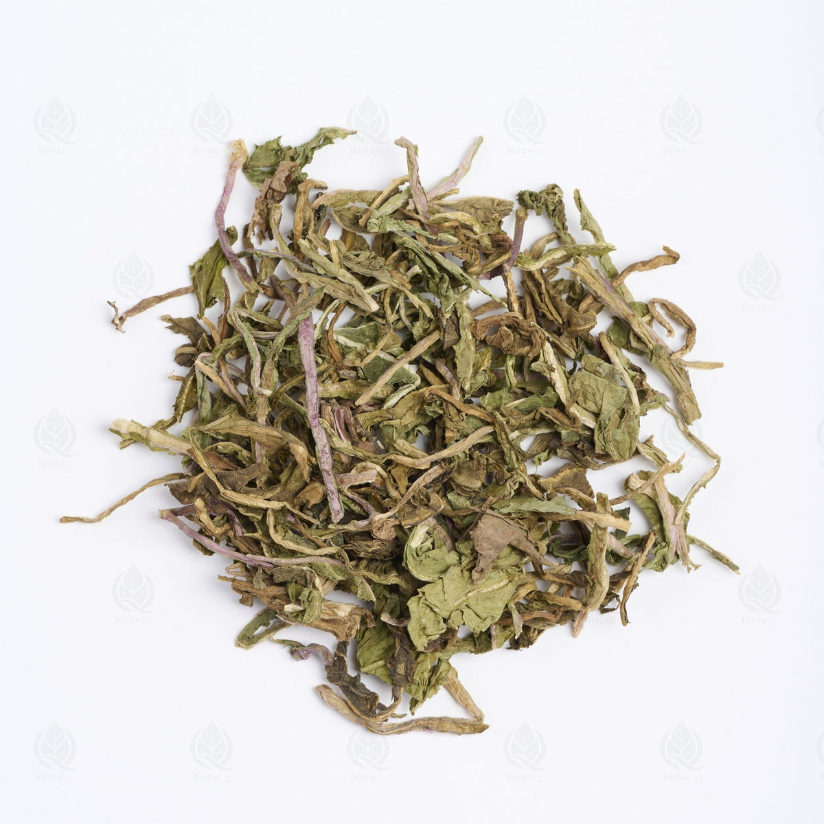 Pissenlit (Dent de Lion) - 蒲公英 (Pu Gong Ying)