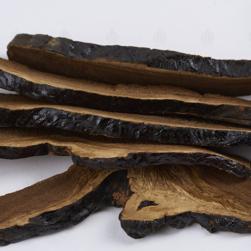 Reishi (Ganoderme luisant) - 灵芝 (Ling Zhi)