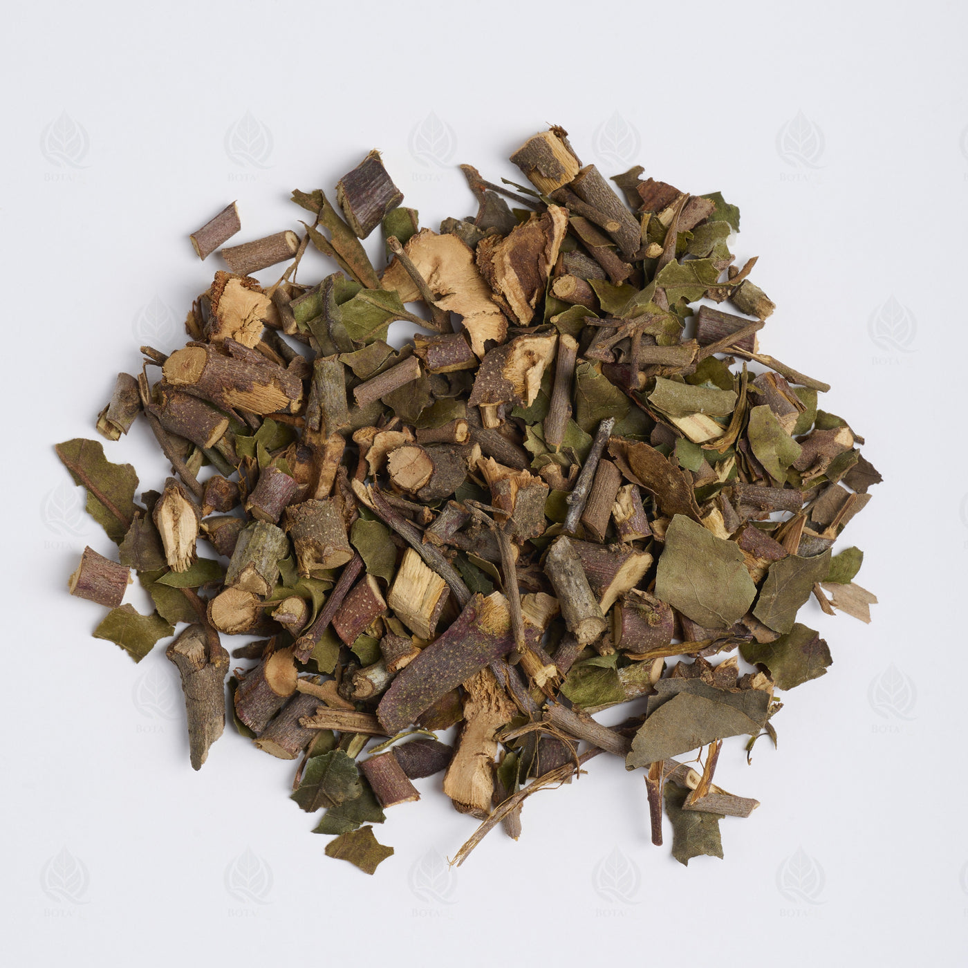 Gui chinois (Loranthus) (Sang Ji Sheng) – vue de dessus