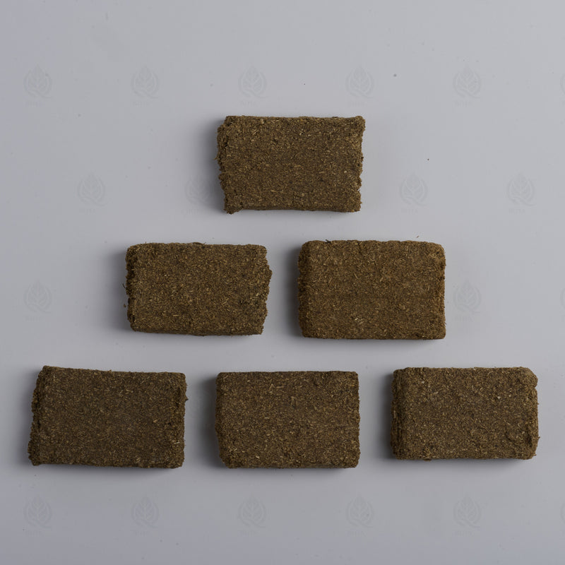 Masse fermentée traditionnelle (Shen Qu) – vue de dessus