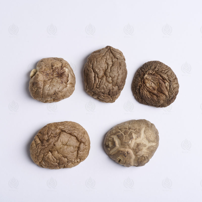 Champignon Shiitake (Xiang Gu) – vue de dessus