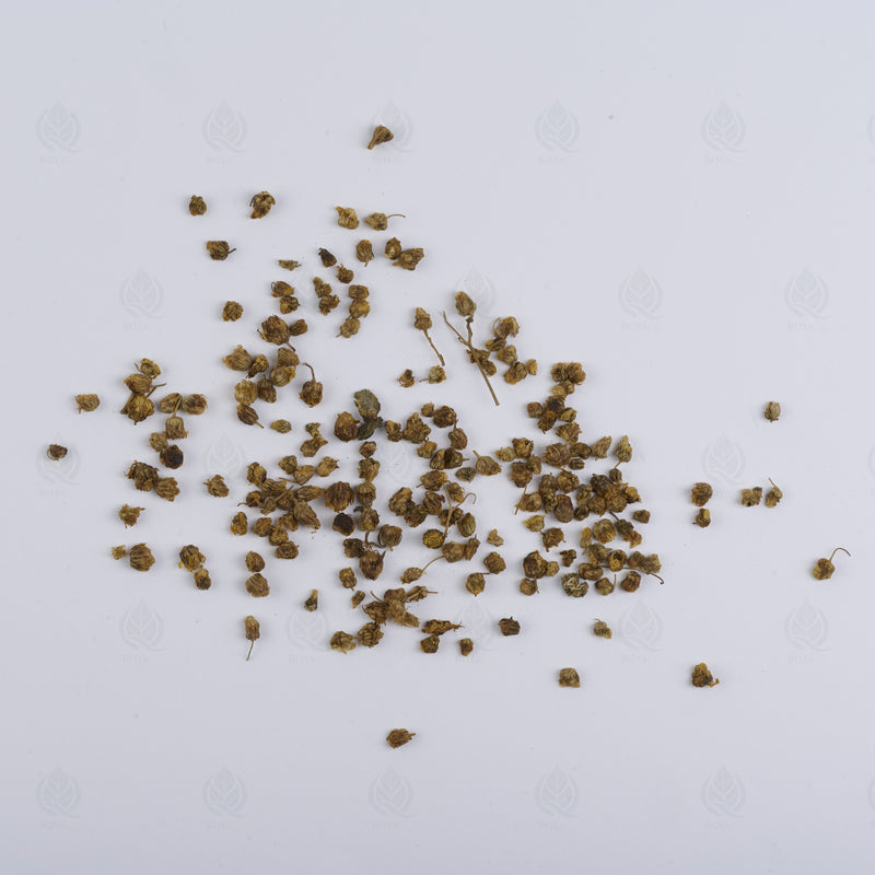 Boutons de Chrysanthème sauvage (Ye Ju Hua) – vue de côté