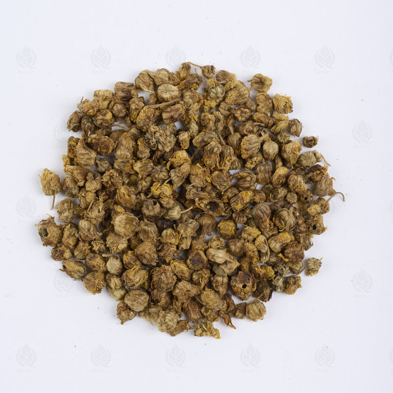 Boutons de Chrysanthème sauvage (Ye Ju Hua) – vue de dessus