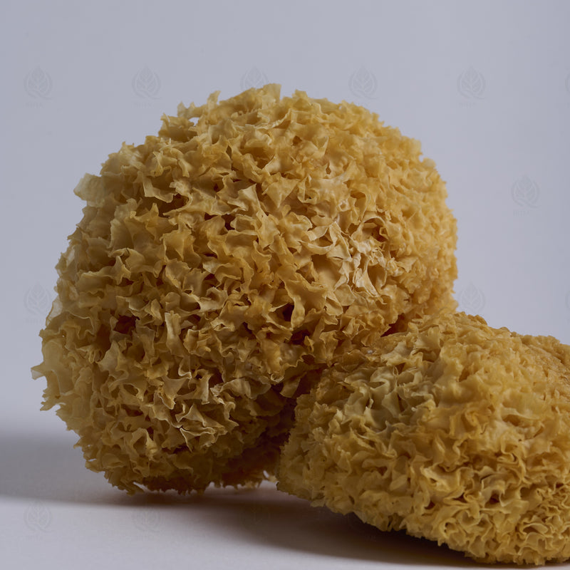 Trémelle blanche (Champignon des neiges) (Yin Er) – vue de côté