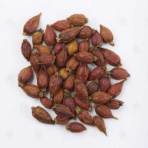 Fruit du Gardénia (Zhi Zi), vue de dessus